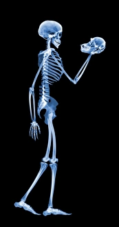 Human Evolution Prints: Technological dominance, conceptual image