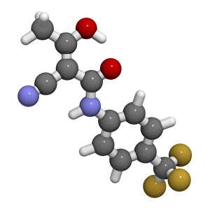 Teriflunomide multiple sclerosis drug F007/0194 Teriflunomide multiple sclerosis drug F007/0194