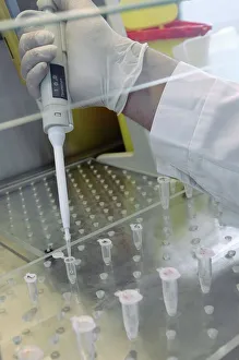 Testing for Viruses Print: Technician with Pipette and Sample Vials