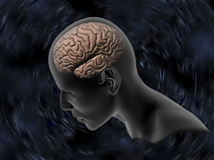Central Nervous System CNS Prints: Thinking, computer artwork