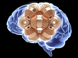 Computer Generated Brain Image Prints: Thought process, artwork F005 / 0192