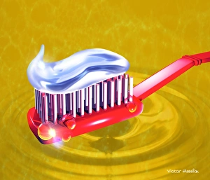 Oral Hygiene Image Prints: Toothbrush