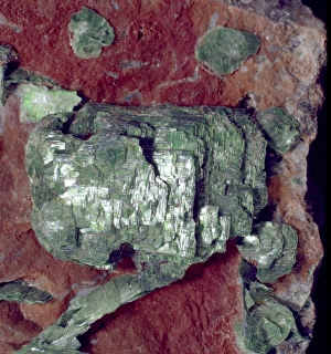 Natural History Museum Specimens Prints: Torbernite C016 / 5656