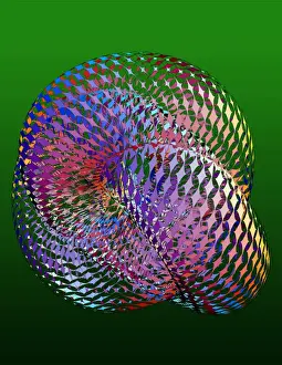 Prints of Torus. Computer model of the three-dimensional projection (or shadow) of a 4-dimensional torus, a mathematical shape. The projection is covered in holes to show the looping intersecting structure Images Dated 2004 January: Torus Torus Print: A 3D Projection of a Mathematical Shape