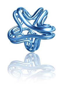 Images Dated 28th May 2008: Torus Knot Print