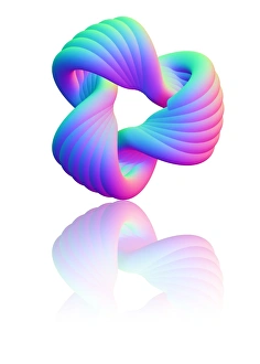 Torus Knot Print