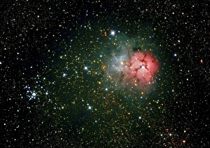Emission Nebula Prints: Trifid Nebula