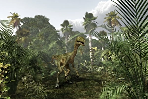 Troodon dinosaur Troodon dinosaur
