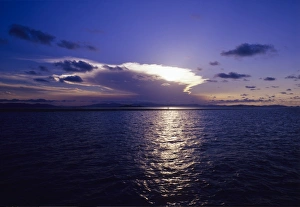 Tropical Sunset Prints: Tropical sunset