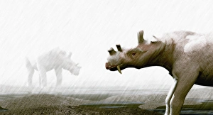 Eocene Epoch Fossils Prints: Uintatherium
