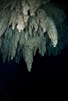 Palau Rock Islands Prints: Underwater limestone cave formations