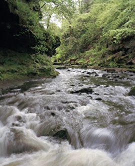 Upland Landscape Photography Prints: Upland stream