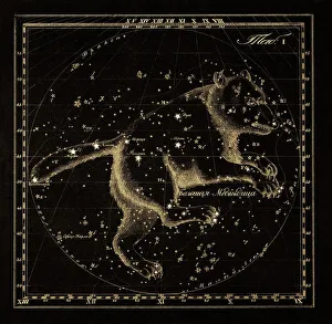 Ursa Major constellation, 1829 C016/4387 Ursa Major constellation, 1829 C016/4387