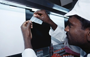 Vaccine production Vaccine production