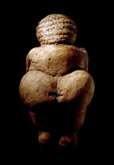 Venus of Willendorf, Stone Age figurine Venus of Willendorf, Stone Age figurine