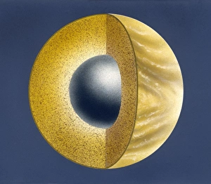 Solar System Prints: Venus Internal Structure Print