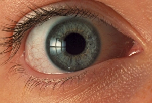 Visual Sense Organs Prints: Front view of human eye