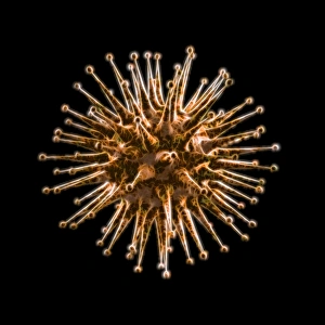 Computer Virus Artwork Prints: Virus, artwork