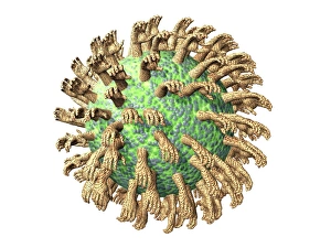 Computer Virus Artwork Prints: Virus with hands