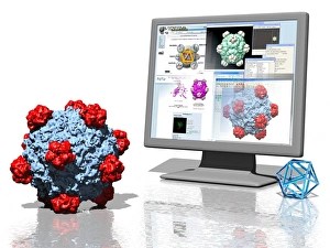 Prints of Virus research. Conceptual computer artwork representing research into viruses, showing a virus particle (lower left) and a computer screen displaying data on the virus Images Dated 2007 May: Virus Research Print