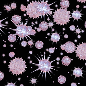 Medical Microbiology Images Prints: Viruses