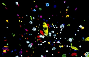Visualisation of primordial quark/gluon plasma Visualisation of primordial quark/gluon plasma