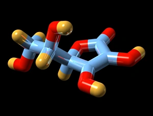 Images Dated 2008 January: Molecular Model of Ascorbic Acid Print