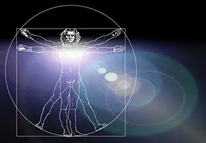 Human Body Prints: Vitruvian Man Print with Chest Flare