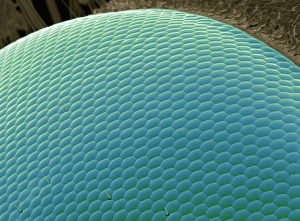 Compound Eye SEM Prints: Wasp eye, SEM
