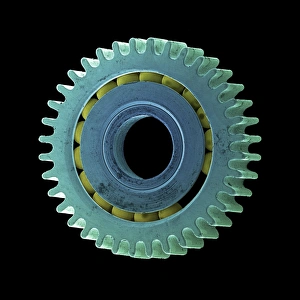 Scanning Electron Micrograph Images Prints: Watch cog, SEM