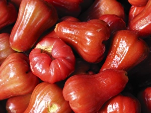 Southeast Asian Flora Prints: Water apples