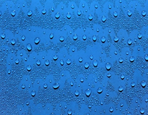 Water Droplets Print