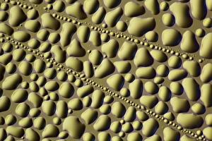 Light Microscopy Images Prints: Water droplets, light micrograph