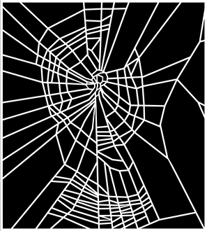 Benzedrine-Exposed Orb Web Print