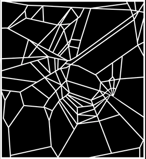 Prints of Effect of caffeine on spiders. Computer artwork of the orb web of a garden spider (Araneus diadematus) exposed to caffeine Images Dated 2005 September: Caffeine's Disruptive Effect on a Garden Spider's Orb Web Print