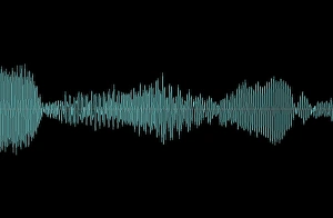 Whale song Whale song