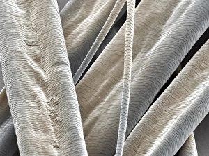 Wild rabbit hair, coloured SEM Wild rabbit hair, coloured SEM