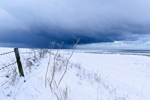 Prints of Winter storm clouds. Stormy grey (snow-laden) clouds approaching the shore of Northumberland, UK near the island of Lindisfarne. In the foreground are stems of hogweed (Heracleum sphondylium) Images Dated 2012 February: Northumberland Coast Winter Storm Print