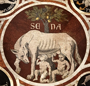 Images Dated 23rd November 2012: Wolf of Siena Print: 14th century Duomo mosaic detail