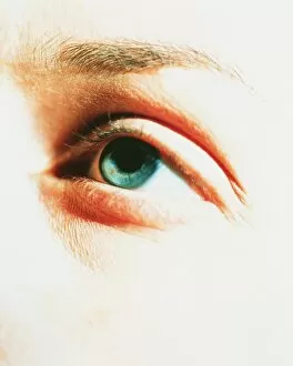 Images Dated 18th April 2001: Womans eye