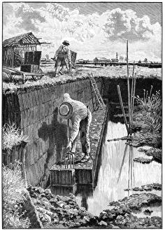Sphagnum Moss Prints: Workers excavating peat, artwork