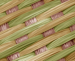 SEM Images Prints: Woven silk, SEM