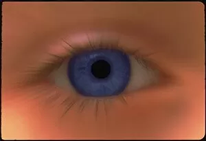 Images Dated 21st November 1996: Zoom effect image of a young girls blue eye
