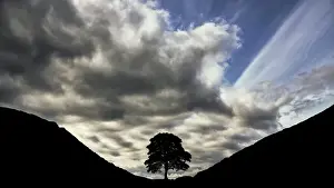 Hadrian's Wall Prints: Hadrian's Wall Print: Stormy Sycamore Gap
