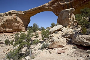 Natural Bridges National Monument Prints: 27138_work