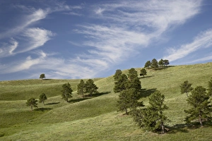Rolling Hills Scenery Prints: 27723_work
