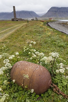 Abandoned Whaling Station Prints: Abandoned whale shore processing station, Talknafjorour, Iceland, Polar Regions