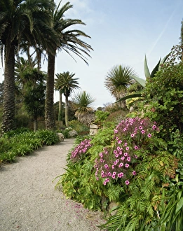 UK Outdoor Photography Prints: Abbey Gardens
