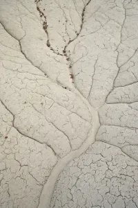 Landscape Prints: Erosion Patterns Print, Bisti Wilderness Drainage