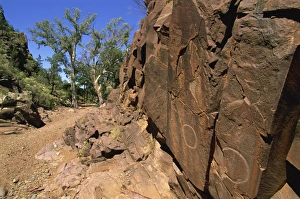 Aboriginal Rock Art Australia Prints: Adnjamathanha Aboriginal engravings, Sacred Canyon, Flinders Range, South Australia